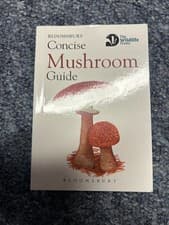 Image of Concise Mushroom Guide by Wildlife Trusts (Great Britain) NEW - Free P+P