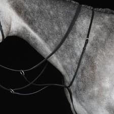 Image of Collegiate Running Martingale IV - Black