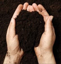 Image of Multi-Purpose Compost Soil Bag Organic Soil Nutrient 20, 40, 50, 80, 100, 160L
