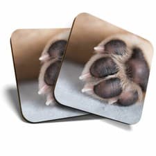 Image of 2 x Coasters - Dog Paw Pad Puppy Love Home Gift #14631