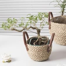 Image of Woven Plant Basket Flower Pot Seagrass Plant Basket Storage Container Indoor