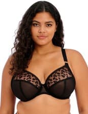 Image of Elomi Namrah Plunge Bra Underwired Non-Padded Supportive Bras 301336