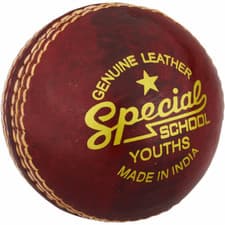 Image of Cricket Ball Special School - Juniors FREE P&P