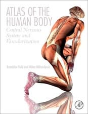 Image of Atlas of the Human Body - 9780128094105