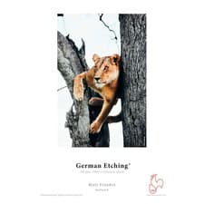 Image of Hahnemuhle German Etching 310 | A3 - 25 Sheets