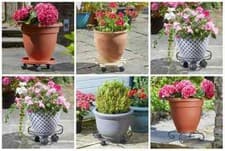 Image of Decorative Round Flower Pot Plant Pot Wheeled Caddy Flower Stand Garden Trolley