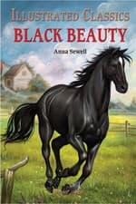 Image of Black Beauty English Novel With Review Questions by Anna Sewell (Hardback Book)