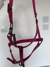 Image of Amigo pink Headcollar And Leadrope Set cob Size