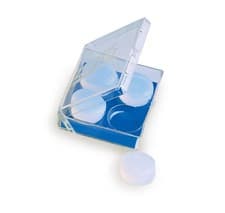 Image of Zoggs Ear plugs - Silicone Ear Plugs - Swimming - Blue