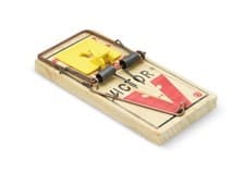Image of Rat Trap Deadfast Easy Set - Heavy Duty Fast Kill Wooden Snap Trap