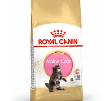 Image of ROYAL CANIN MAINE COON KITTEN 400G 2KG 4KG 10KG junior cat food rc pet feed meal