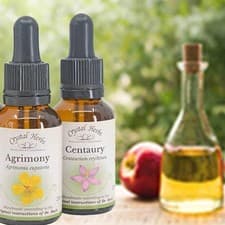 Image of 25ml Bach Flower Remedy - Alcohol Free Preservative - vegetable glycerine