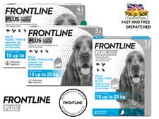 Image of Frontline Spot On PLUS Cat Dog Flea Tick Lice Treatment 1, 3, Or 6 Pipette Packs