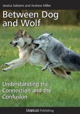 Image of Between Dog and Wolf: Understanding the Connection and the Confusion by Andrew M