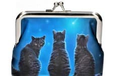 Image of Wish Upon A Star Coin Purse Artwork By Lisa Parker