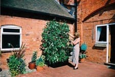 Image of Raised Mini Grow Bed And Support Frame 97.5cm Long Aluminium Garland