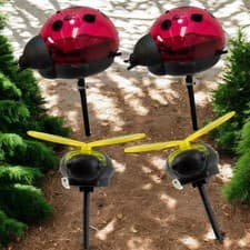 Image of LED Solar Garden Stake Lights Ladybug Bee Outdoor Decorative Lights