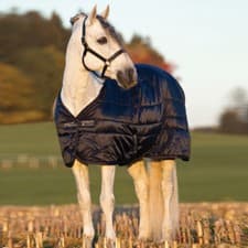 Image of HORSEWARE AMIGO MIO 300G HEAVYWEIGHT STANDARD NECK HEAVY WEIGHT STABLE RUG