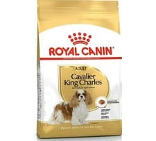 Image of CAVALIER KING CHARLES - (1.5kg / 7.5kg) - Royal Canin Dog Breed Dry Food rc Feed