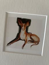 Image of MOUNTED PRINT PAGE ART EXTRACT SALLY MUIR A DOG A DAY PODENCO SQUARE MOUNT
