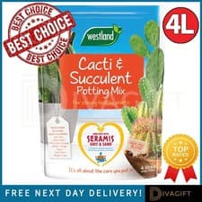 Image of WESTLAND CACTI SUCCULENT CACTUS POTTING COMPOST MIX 4L ENRICHED WITH SERAMIS NEW