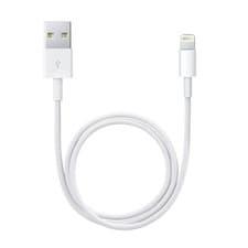 Image of Apple Lightning to USB Cable 2m