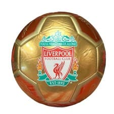 Image of Liverpool FC Official Full Crest Metallic Signature Football Size 5 & 1
