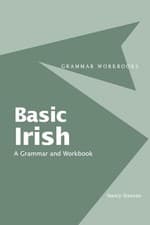 Image of Basic Irish: A Grammar and Workbook by Nancy Stenson 9780415410410 NEW