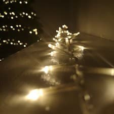 Image of 1000 LED 25m Premier TreeBrights Christmas Lights Warm White Clear Cable