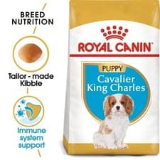 Image of Cavalier King Charles Puppy Dry Food Breed Health Formula Royal Canin 1.5kg