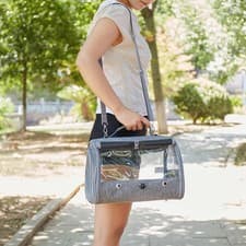 Image of Bird Travel Carrier for Parrot with Stand Perch for Budgies Conures Canary