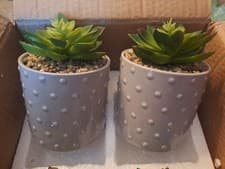 Image of Set of 2 Garden Party Grey Dotted Ceramic Pot for Succulents – Elegant Planter