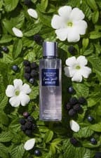 Image of Victoria Secret Love Spell Starlit Limited Edition Body Mist 250ml