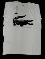 Image of Lacoste Large Croc White T-Shirt Junior Size 14 Years 31.5 - 33" Chest