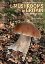 Image of An Identification Guide to Mushrooms of Britain and Northern Europe (2nd