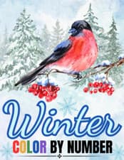 Image of Winter - Color by Number - Coloring Book for Adults: Large Print Color by Number