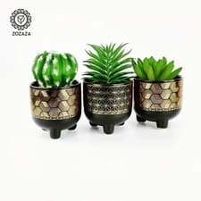 Image of Set Of 3 Artificial Cactus Succulent Evergreen Plants For Home Decor & Gifts