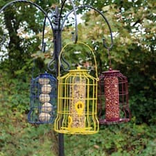 Image of Wild Bird Feeder 3pcs Seed Nut Fat Ball Metal Hanging Squirrel Proof Guard Cage