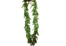 Image of Hawaii Fancy Dress Leaf Garland Necklace Costume Accessory Green Tropical  