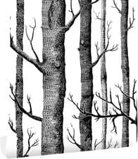 Image of Ohmywor Self Adhesive Wallpaper Birch Tree Wallpaper Peel and Stick Black and W