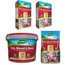 Image of Westland Fish Blood and Bone Natural Organic Fertiliser for Healthy Plants &soil