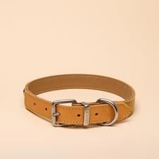 Image of Rosewood x Joules Tan Dog Collar, Large – Durable Leather and Webbing Detail,