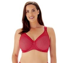 Image of Berlei B541 Underwired Beauty Stripe Smoothing Minimiser Bra