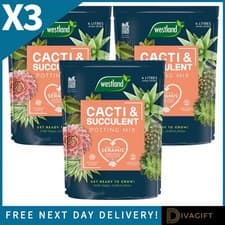 Image of 3 x WESTLAND CACTI SUCCULENT CACTUS POTTING COMPOST MIX 4L ENRICHED WITH SERAMIS