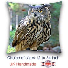 Image of Owl Cushion, Owl Pillow, Animal Art Cushion,