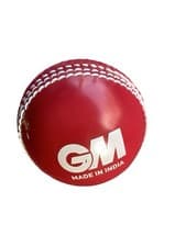 Image of GM Cricket Skills Ball Junior