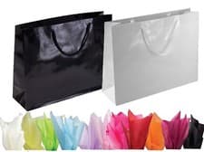 Image of Glossy Gift Bags Deluxe Boutique Style with Tissue Paper for Gift Retail Xmas