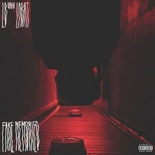 Image of LB AKA LABAT FAKE MEMORIES NEW LP