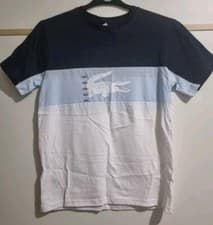 Image of Boys Lacoste Cut And Sew Colour Block T-shirt Junior 16A 15-16 Years BNWT