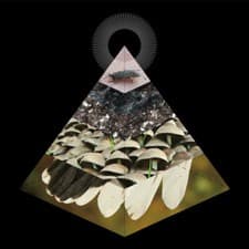 Image of BELUS - apophenia / Vinyl LP